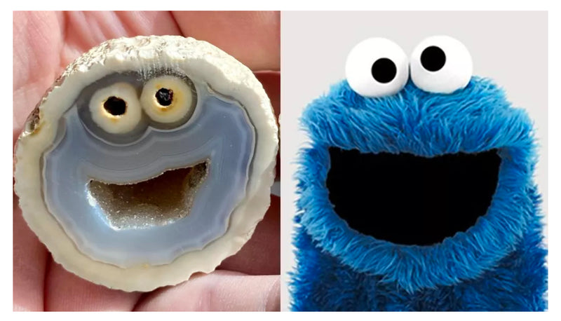 You're Seeing... Cookie Monster?!