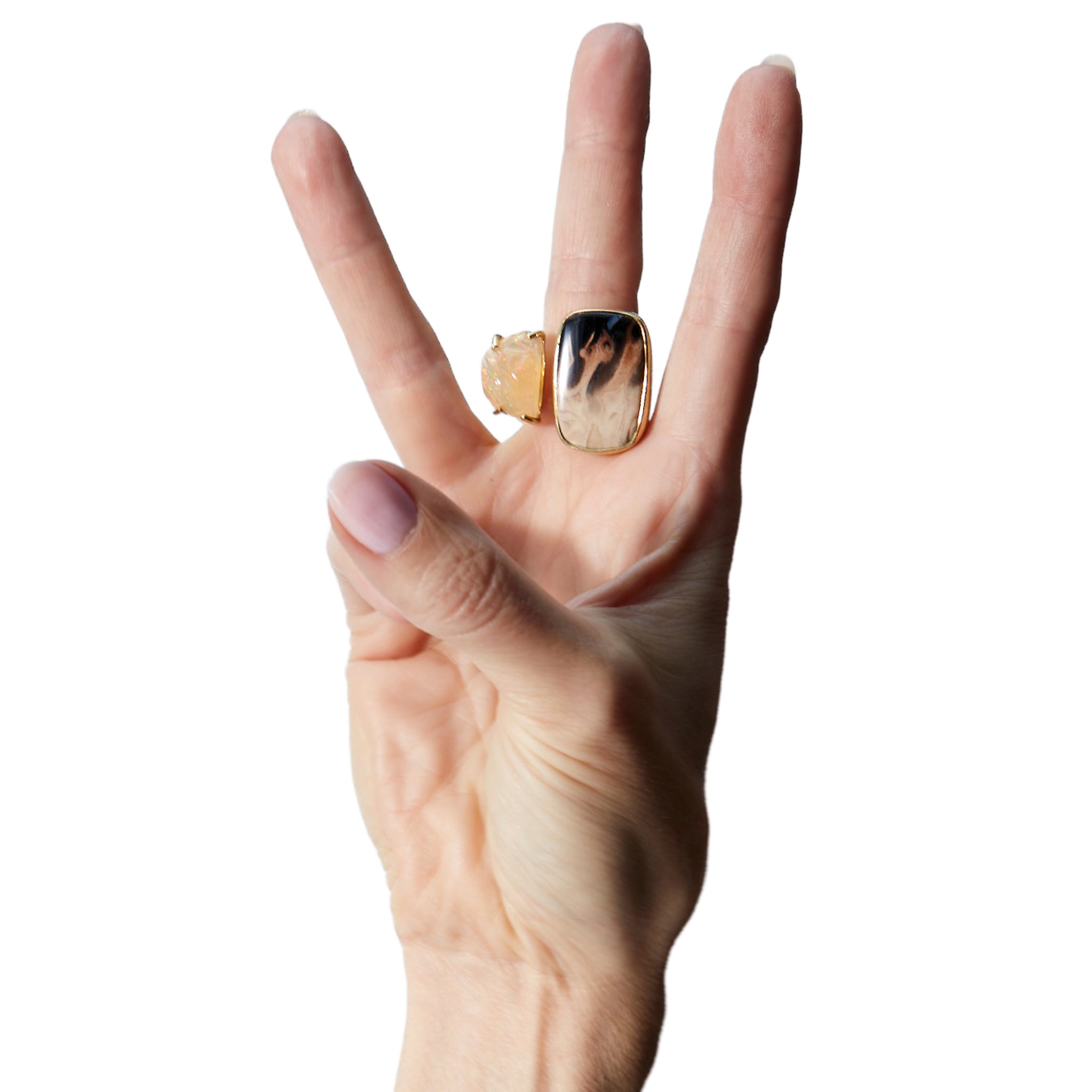 Ring featuring Petrified palm wood, mexican jelly opal, 18k yellow