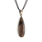 Petrified Sequoia Wood Pendant